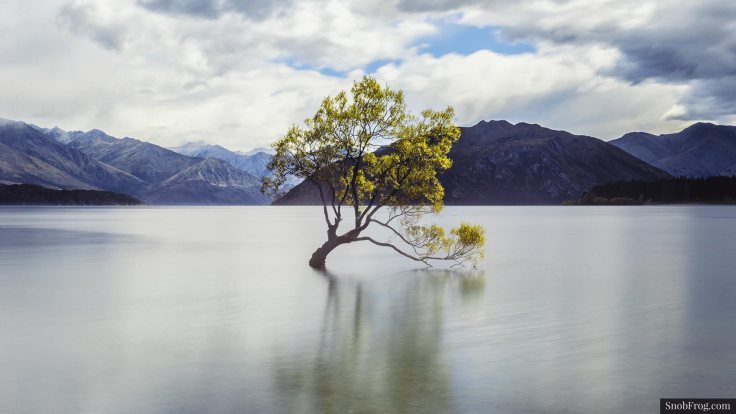 DSC_0230_wanaka_tree_lake