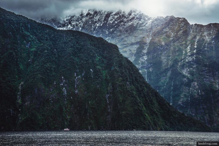 DSC_0277_milford_sound