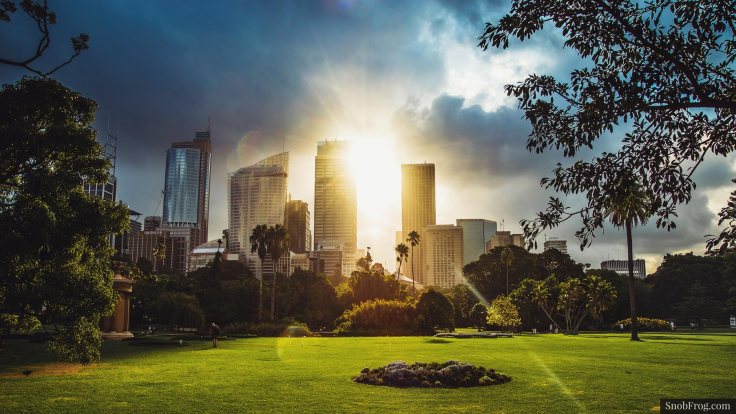 DSC_0627_sydney_botanic_garden