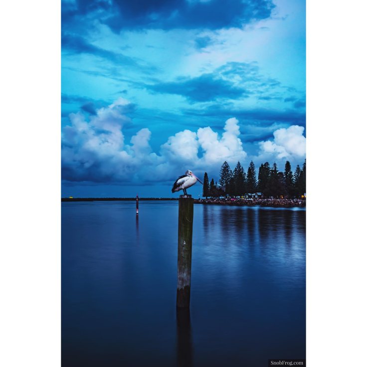 DSC_0744_port_macquarie