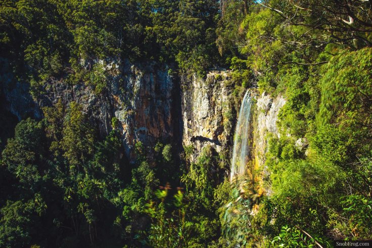 DSC_1549_springbrook