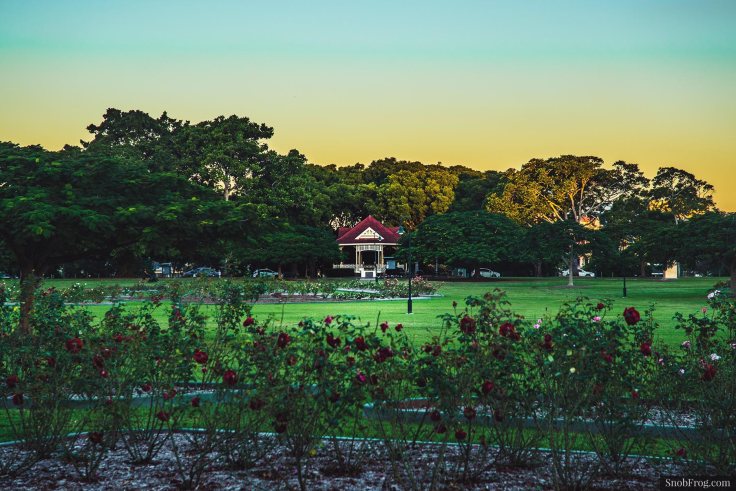 DSC_1094_new_farm_park