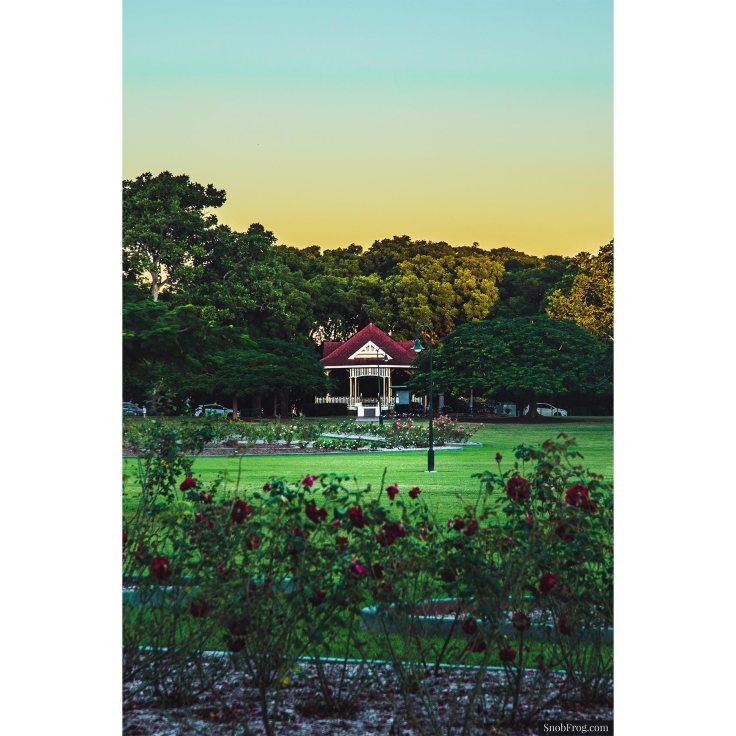 DSC_1094_new_farm_park_2