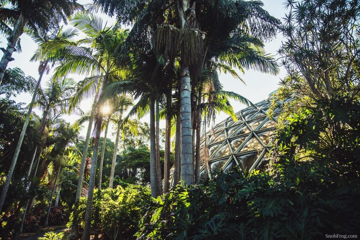 DSC_1123_brisbane_botanic_gardens