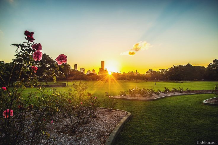 DSC_1210_new_farm_park