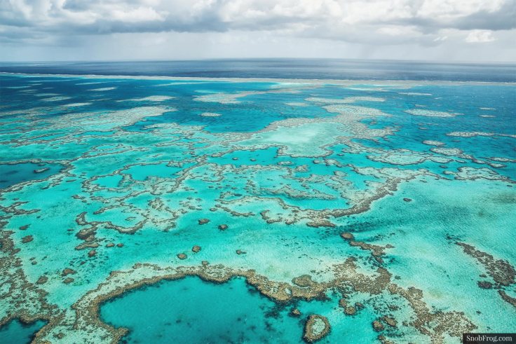 DSC_2505_great_barrier_reef