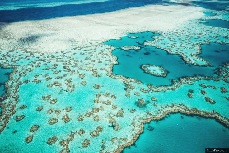 DSC_2512_great_barrier_reef