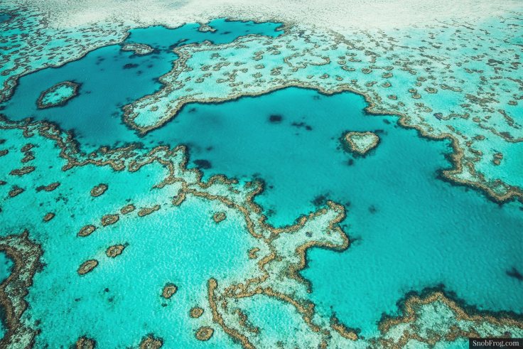 DSC_2515_great_barrier_reef