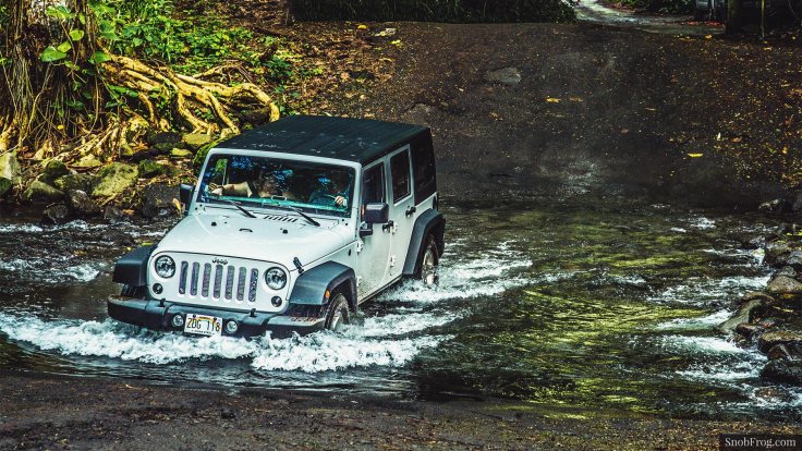 DSC_3129_waipio_valley