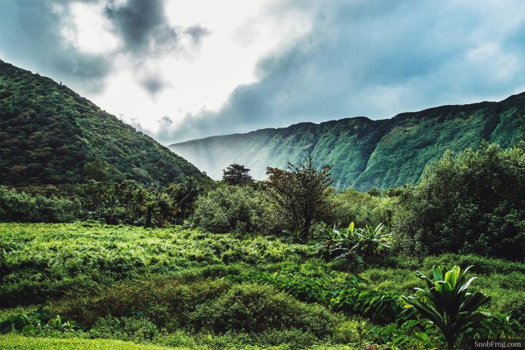 DSC_3140_waipio_valley