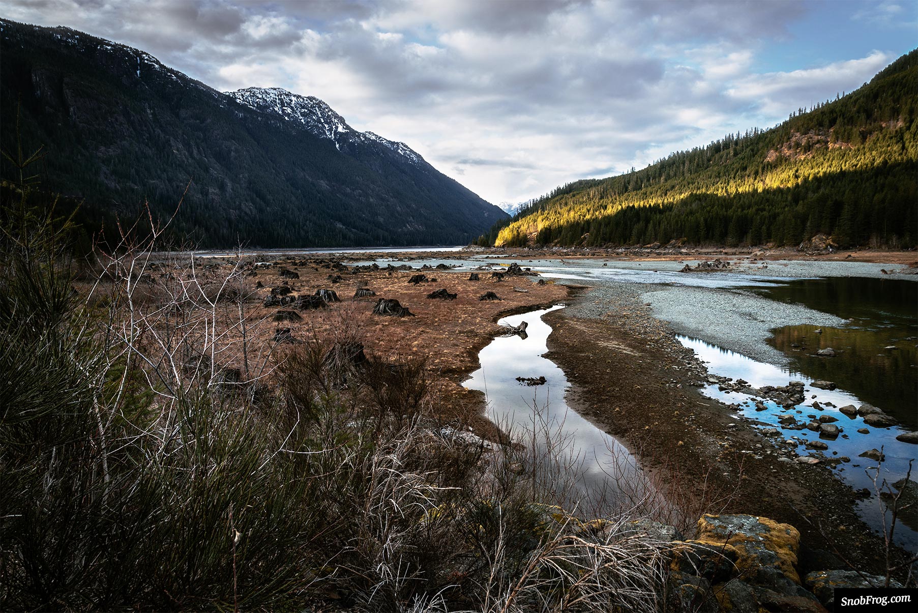 DSC_4155_butle_lake_strathcona_provincial_park