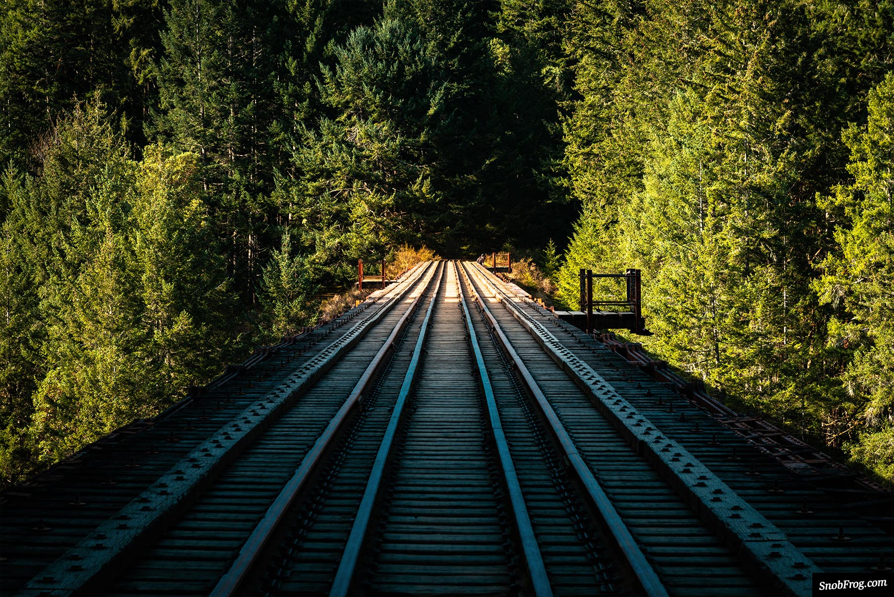 DSC_4184_goldstream_trestle